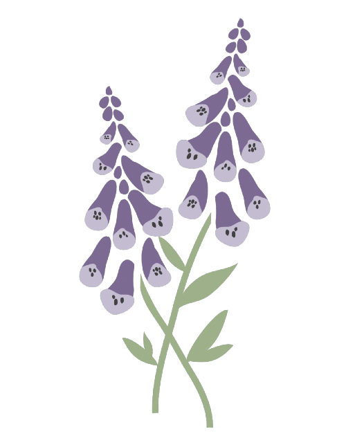 Digitalis Design